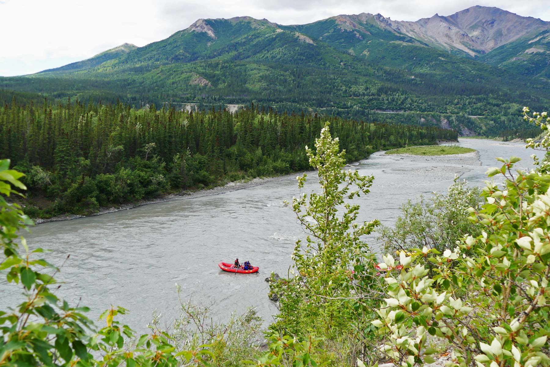 nenana river rafting denali national park