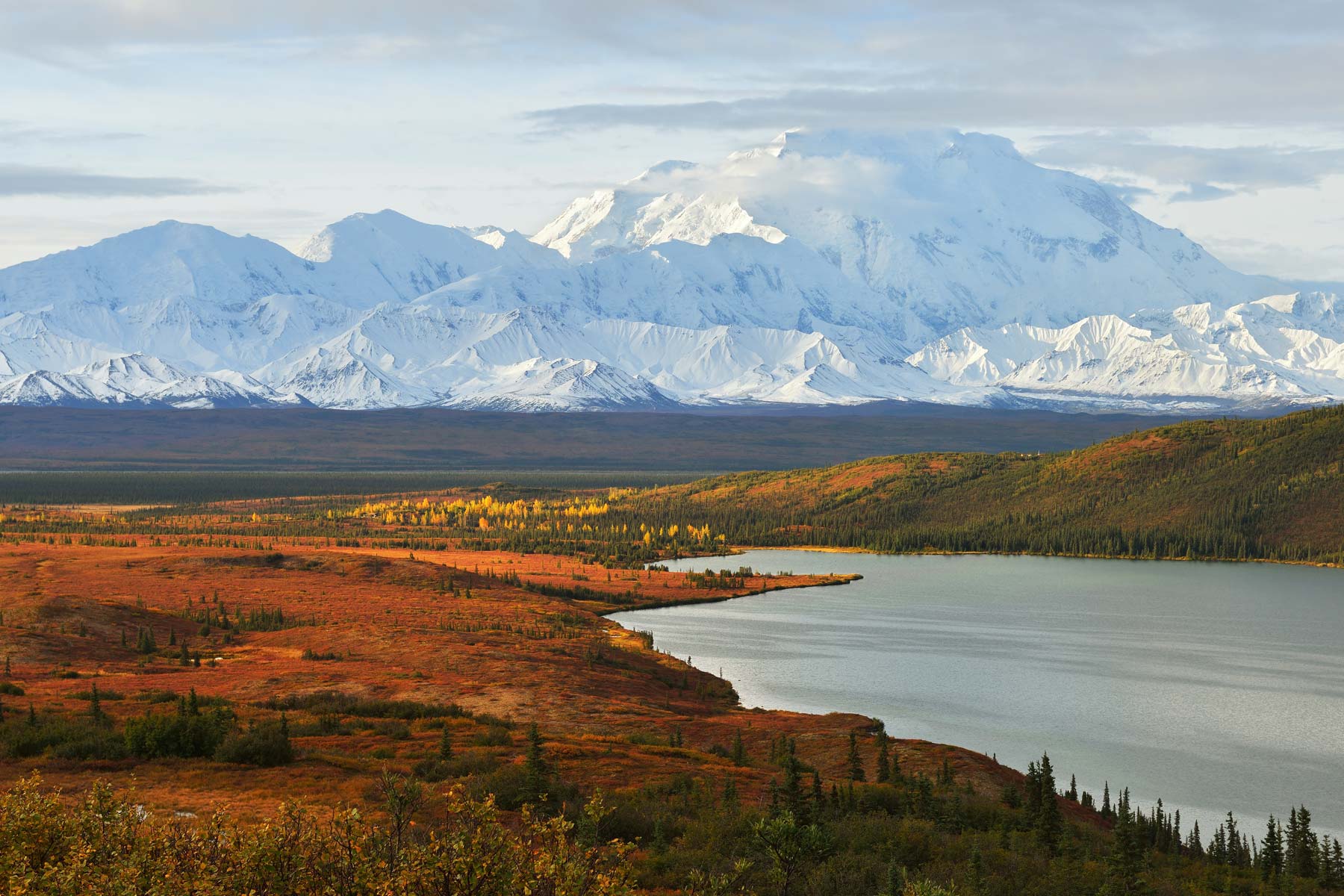 20 Amazing Things to Do in Denali National Park (Photos + Guide), image size:1800x1200